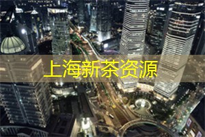 第二届上海创意艺术节的亮点
